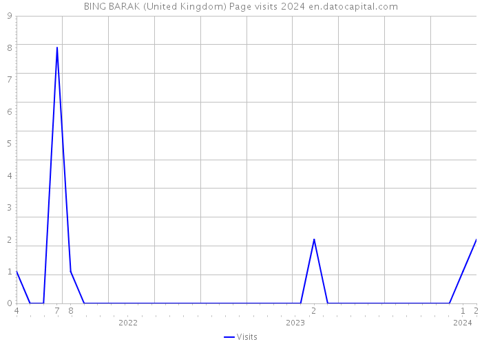 BING BARAK (United Kingdom) Page visits 2024 