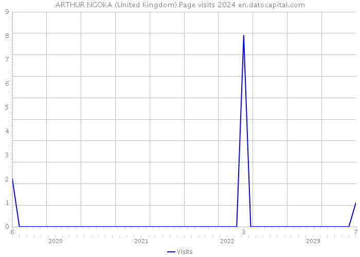 ARTHUR NGOKA (United Kingdom) Page visits 2024 