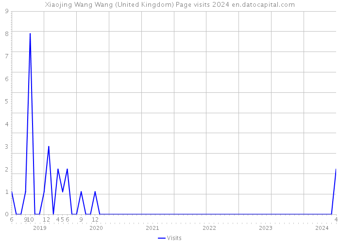 Xiaojing Wang Wang (United Kingdom) Page visits 2024 