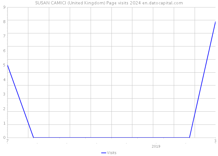 SUSAN CAMICI (United Kingdom) Page visits 2024 