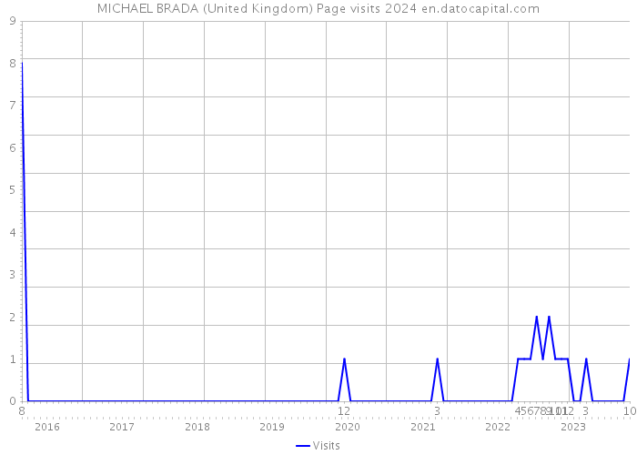 MICHAEL BRADA (United Kingdom) Page visits 2024 