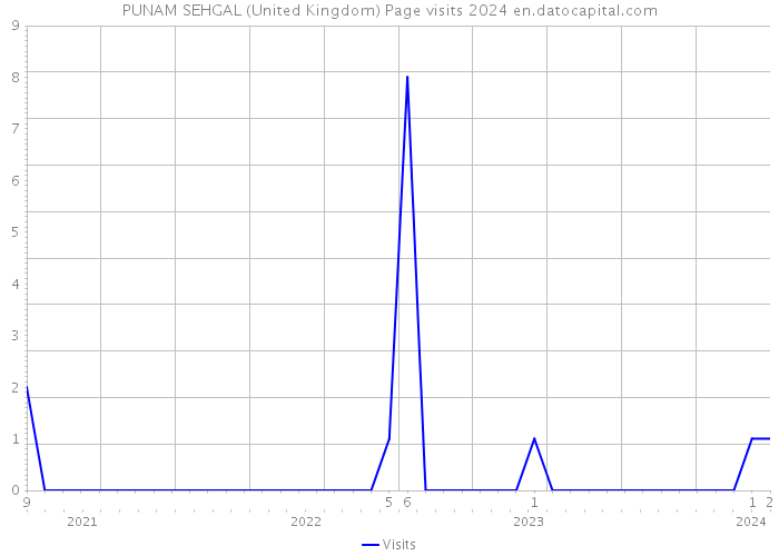 PUNAM SEHGAL (United Kingdom) Page visits 2024 